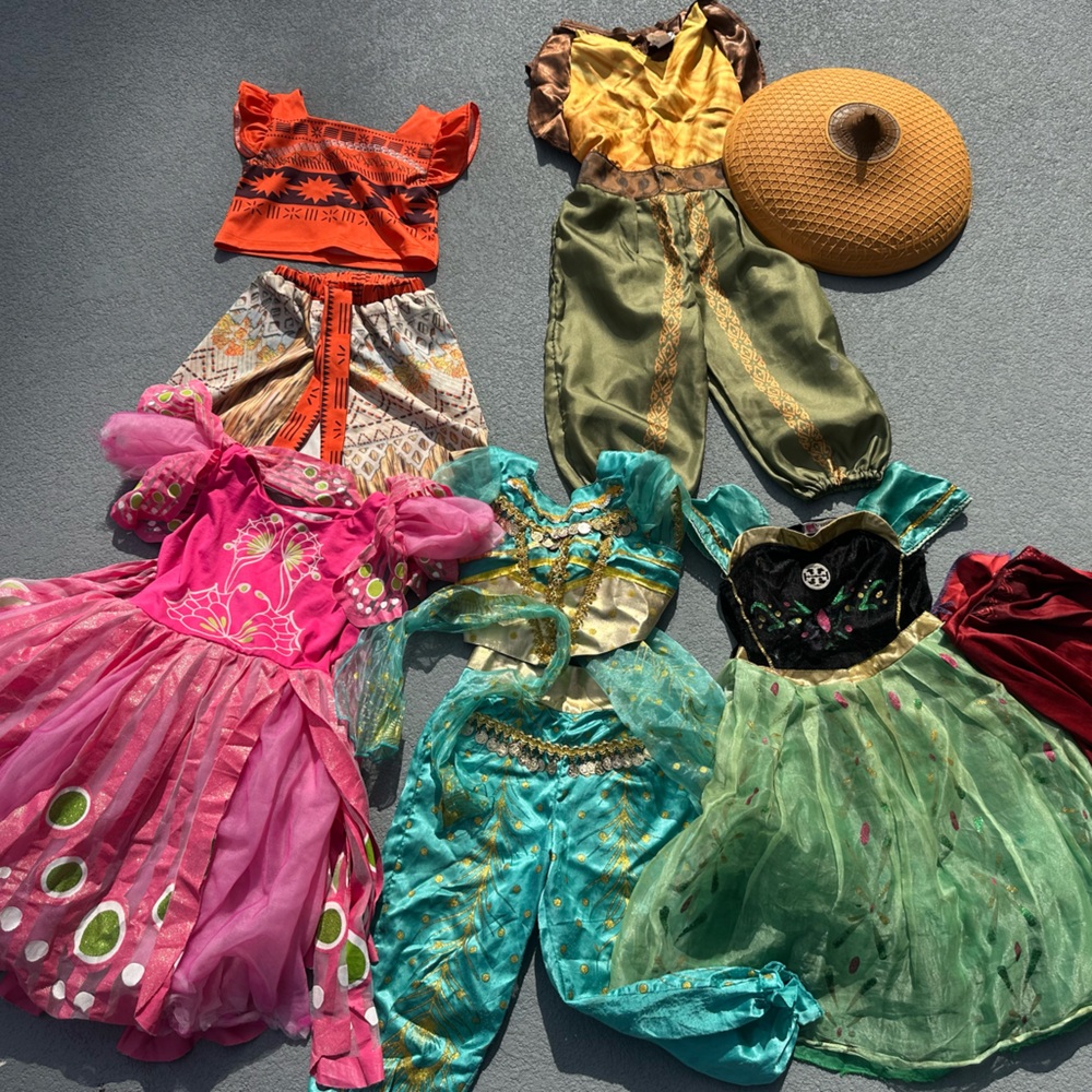 Various Disney princesses costume bundle